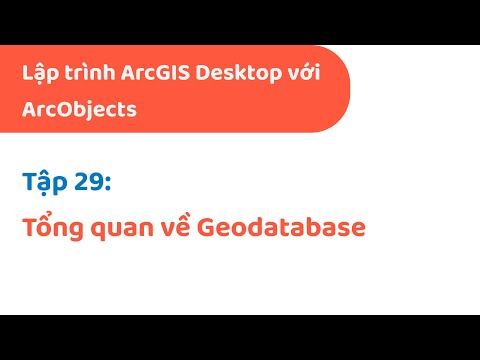 Lập trình ArcGIS Desktop với ArcObjects | #29: Tổng quan về Geodatabase | Học cùng Thọ