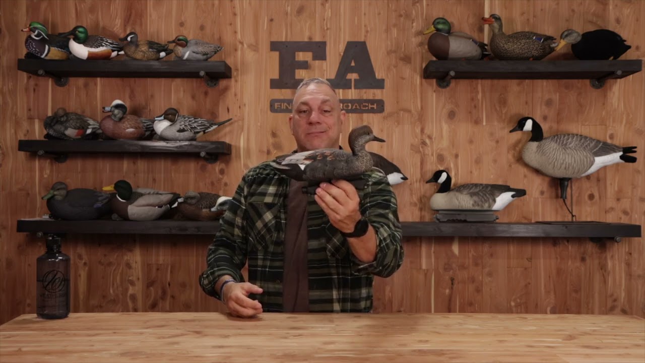 Final Approach Last Pass Gadwall