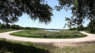 Travis County Pace Bend Spring Day April 2020