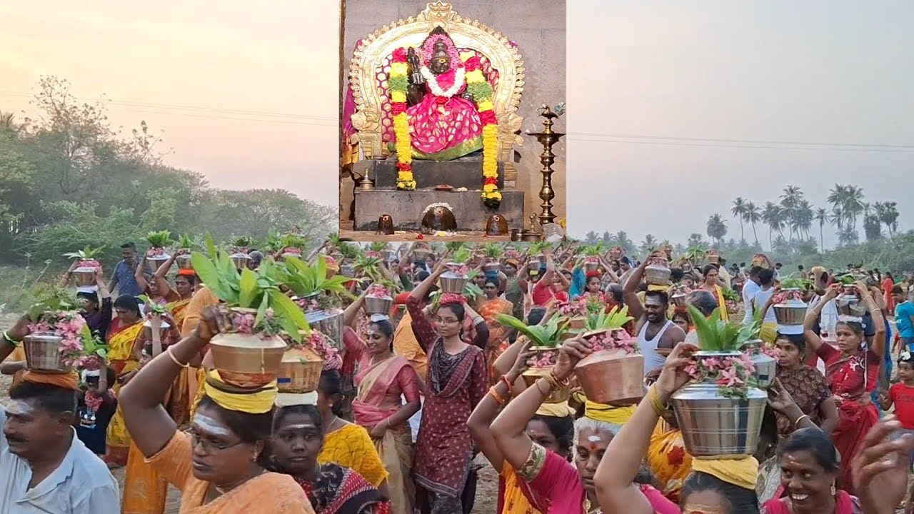 சித்தோடு மாசி திருவிழா 2025 ஸ்ரீ மாகாளியம்மனுக்கு தீர்த்தக்குடம் ...