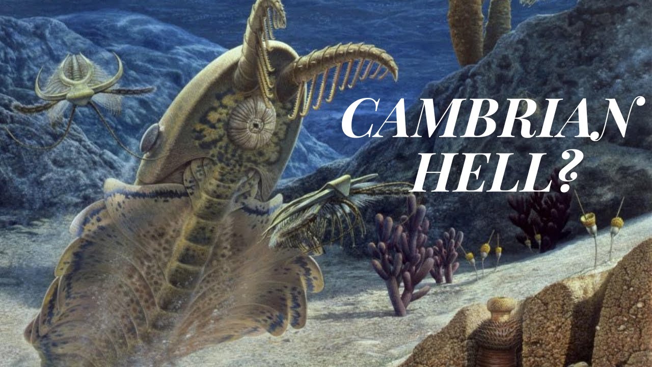 Evolution of Life: Rise of Anomalocaris and Cambrian Multiple Extinction