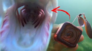 Pike Attack the Cameras ! (Insane Underwater Footage)