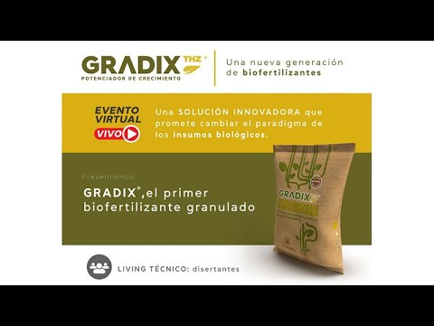 Lanzamiento Gradix - YouTube
