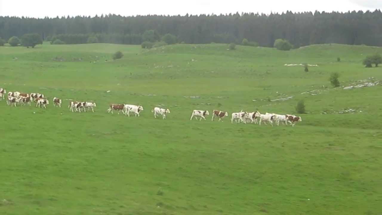 [Electro FR] Salut c'est cool: Révélations mystiques