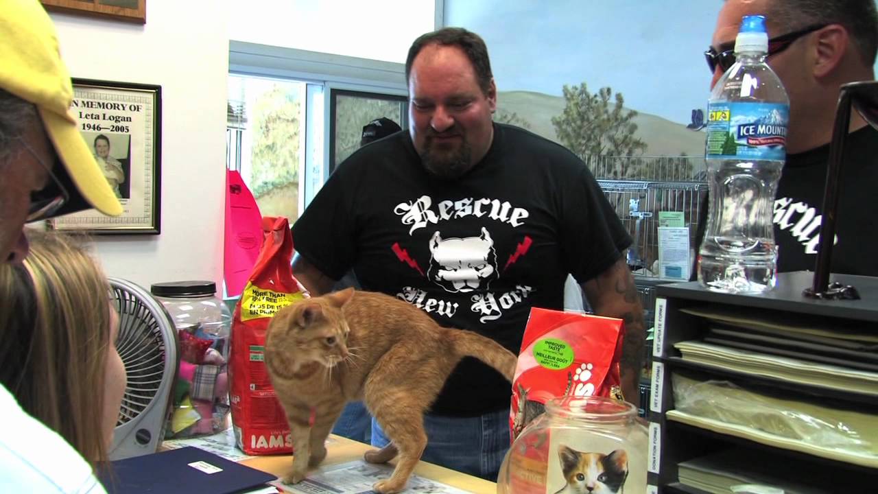 Ride for the Animals Part 1 - YouTube