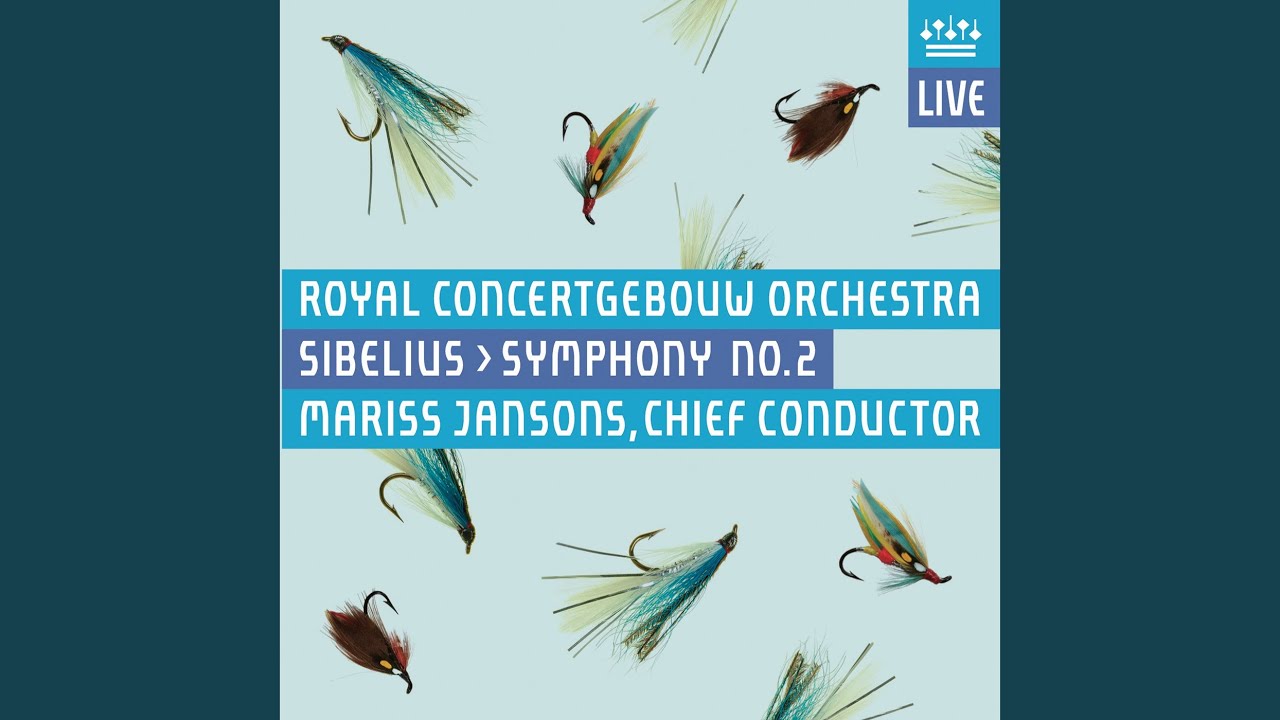 Symphony No. 2 in D Major, Op. 43: IV. Finale (Allegro moderato) (Live)
