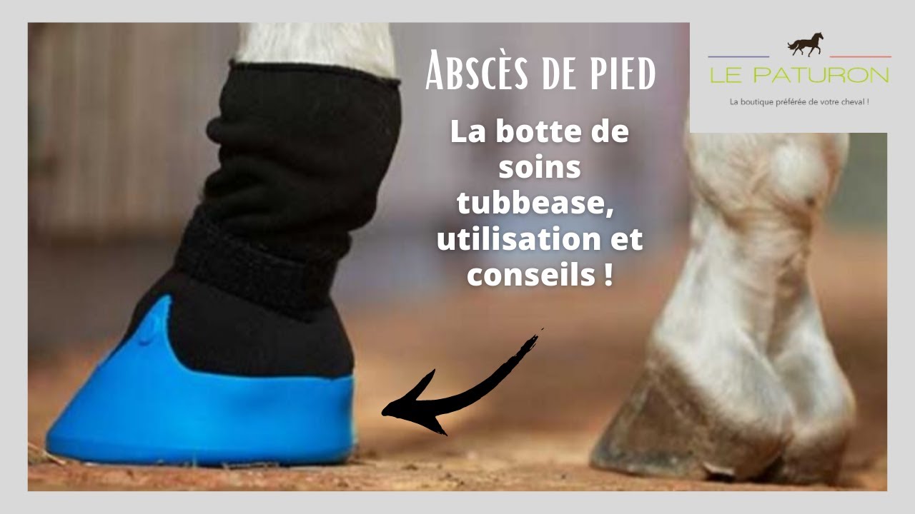 Stinchiere Cavallo Equitazione Chaussure De Traitement Kerbl