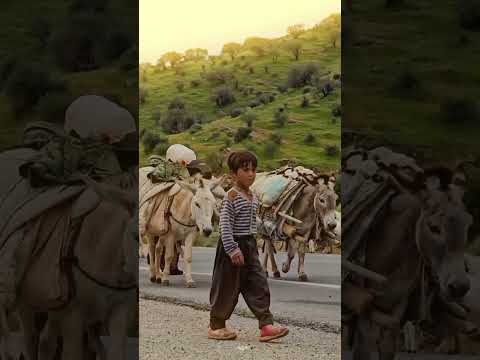 هوره مور کلهری کرمانشاه ماهیدشت