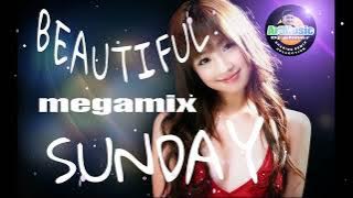 @ArtMusic29emei BEAUTIFUL SUNDAY megamix