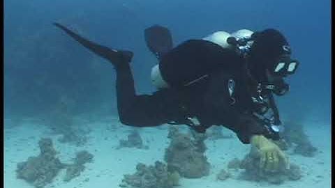 (5thD-X) Essentials Of Technical Diving - (Stages) 1 Bottle: Passing the Bottle