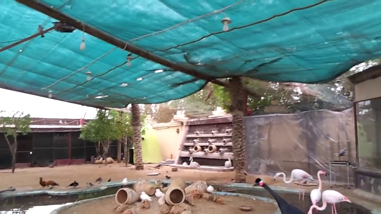 محمية سعود عذبي السويط