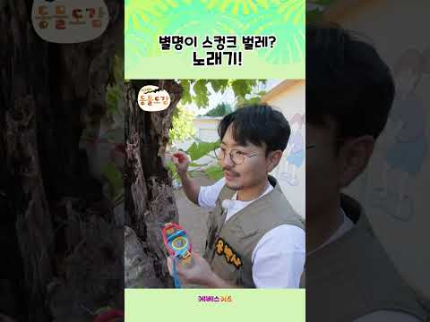 <strong>별명이</strong> 스컹크? 냄새나는 별레 노래기!ㅣ에그박사 동물도감ㅣKBS 241203 방송