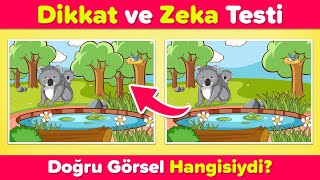 Hafızanızı ve Dikkatinizi TEST Edin!  Görselleri Ne Kadar Hatırlıyorsunuz?  Bul Bakalım