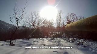 Bol Aksiyonlu Bir  Domuz Avı 2015 Wild Boar Hunting