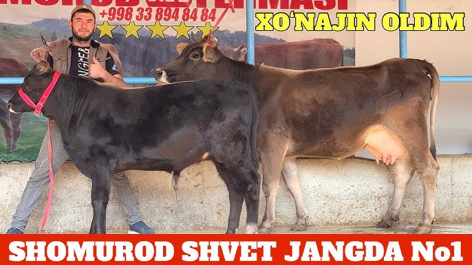 Yalangoch ayol DJlarning fotosuratlari Nok shaklidagi erkak jinsiy olatni surati