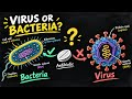 Viruses vs Bacteria: Why Antibiotics Don't Work on Viruses