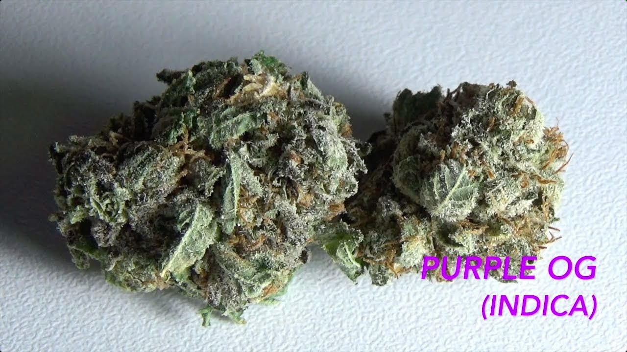 "Purple OG" - Maritime Munchies: Episode #9
