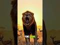 Lion is Not Even a Jungle Animal .watch and see why 👇🏻The Biggest Lie in Nature #shorts #wildlife