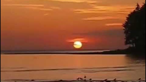 إِنَّ الَّذِينَ كَفَرُوا وَيَصُدُّونَ عَن سَبِيلِ اللَّهِ وَالْمَسْجِدِ الْحَرَامِ|سورة الحج|