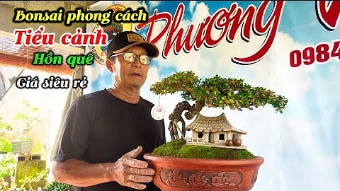 Bonsai phong cách-tiểu cảnh hồn quê đẹp mê hồn-giá 1tr…