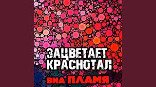 Video thumbnail of "VIA Plamya - У деревни Крюково"