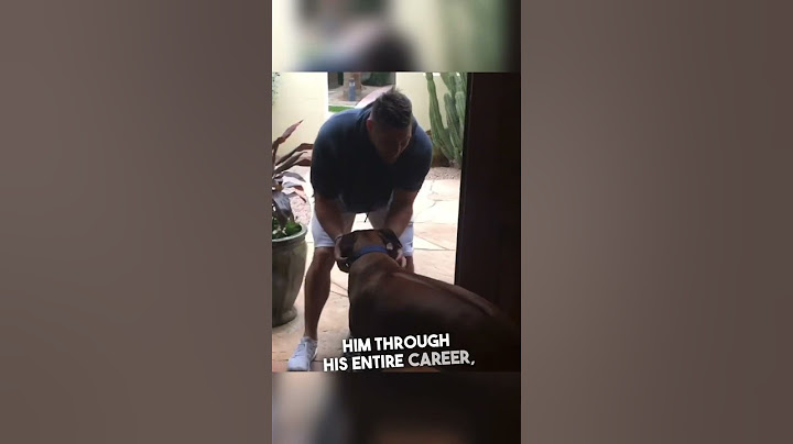 Saying goodbye to a man’s best friend 🥹