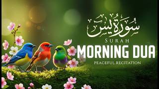 Morning Adhkar (أذكار الصباح) Daily Supplications for Barakah & Inner Tranquility screenshot 4