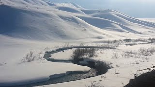 TAVŞAN DEREYE DÜŞTÜ ! Tavşan Avı- Ördek Avı-Erzurum Resimi