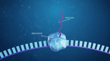 Projects-based Multi-Omics Data Analysis Education