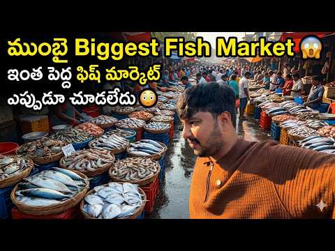 ముంబైలో ఇంత పెద్ద ఫిష్ మార్కెట్ ఉంటుందా? 😱 | Biggest Fish Market in Mumbai | Hari Akula