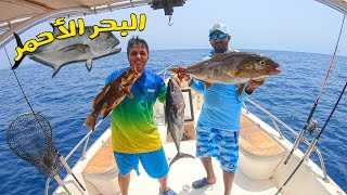 صيد السمك في أعماق البحر الأحمر مع @orjwan_albahr 🐟 Deep Jigging in Red Sea + Big Game