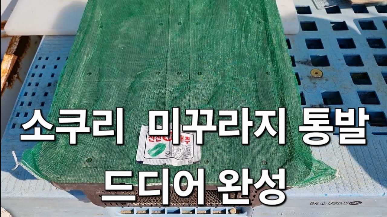 소쿠리 미꾸라지 통발 드디어 완성