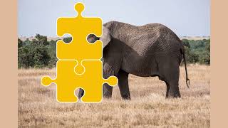Tiere in der Savanne, lernen durch Puzzle. Errate das Bild und viel Spaß beim Rätseln. screenshot 1