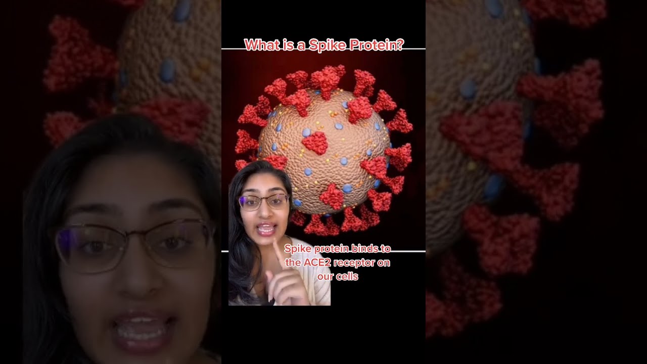 Spike Protein 