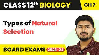 Class 12 Biology Chapter 7 | Types of Natural Selection - Evolution (2022-23)