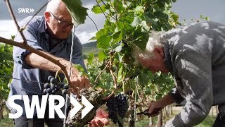 Spuren im Stein - Der Kaiserstuhl | SWR Geschichte & Entdeckungen