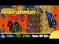 RP 50 Ankrahmun Cults Tibia Solo Paladin