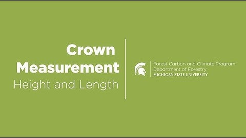 Crown Measurement: Height and Length