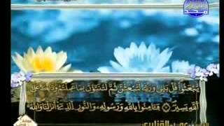 سوره التغابن كاملة للشيخ عمر القزابري