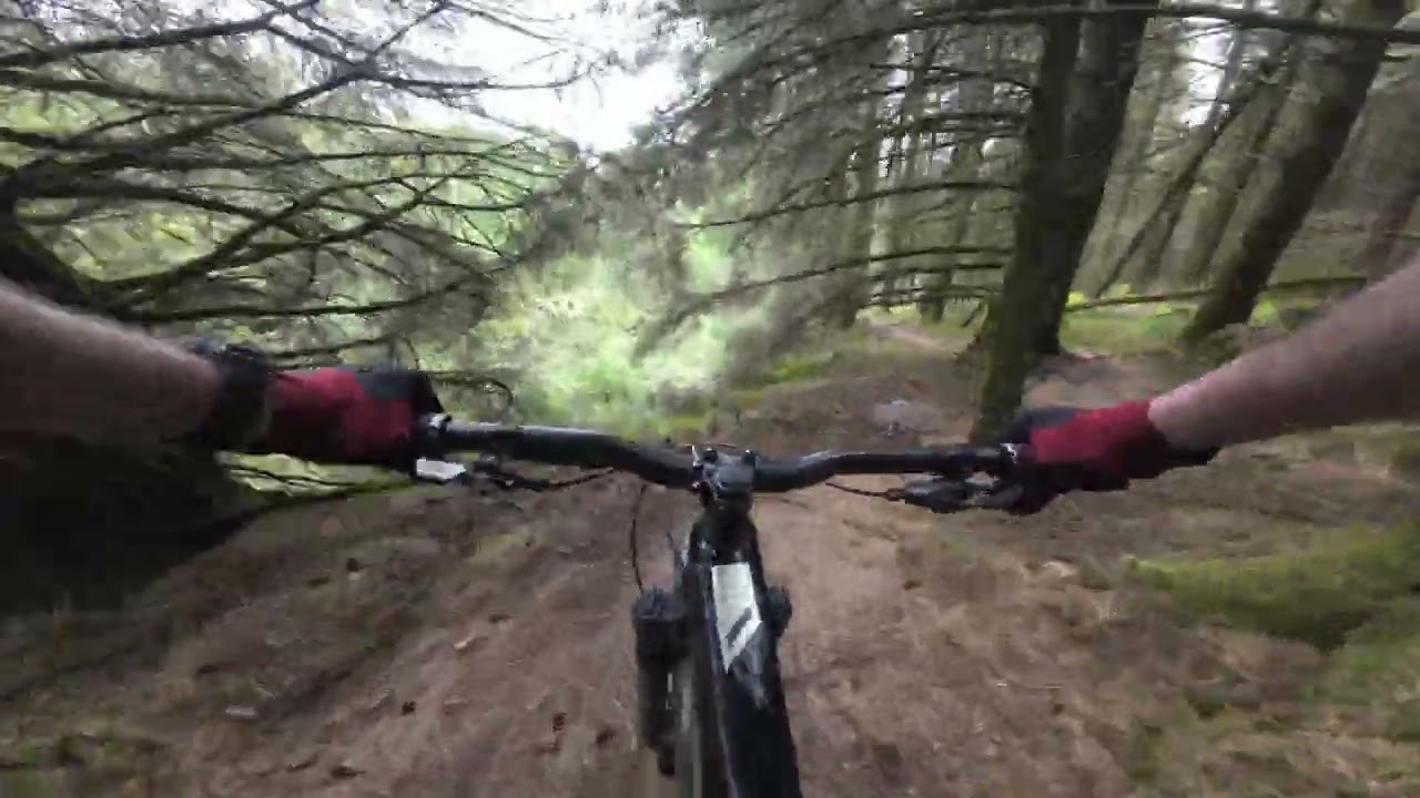 Aberfoyle MTB Trails