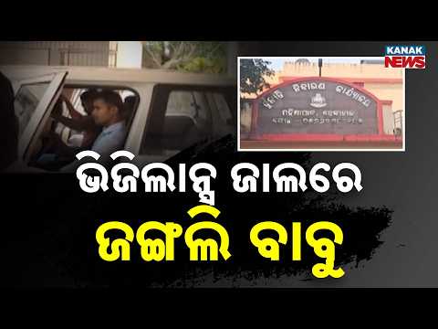 ଭିଜିଲାନ୍ସ ଜାଲରେ ଜଙ୍ଗଲି ବାବୁ | Dhenkanal Forest Department Scam | Vigilance Arrests Three Officials