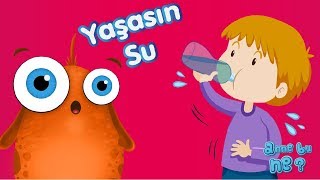 Yaşasın Su | Okul Öncesi Eğitici Çizgi Film | Anne Bu Ne? Resimi