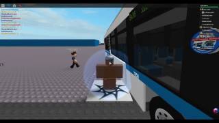 Bx36 Bus Shock in the Bronx