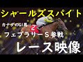 かなり危険です。フェブラリーSに参戦するシャールズスパイトを知らないなんて。【レース映像】