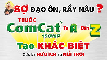 Thuốc 𝐂𝐨𝐦𝐜𝐚𝐭 𝟏𝟓𝟎𝐖𝐏 của Lúa Vàng - Ức chế bệnh do rầy râu, tăng đề kháng, tăng miễn dịch đạo ôn