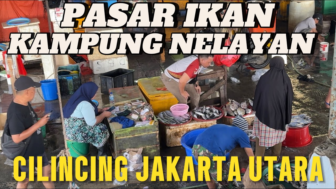 Surga Ikan Laut Murah & Segar, Kehidupan Nelayan Cilincing Jakarta Utara #enjoyjakarta