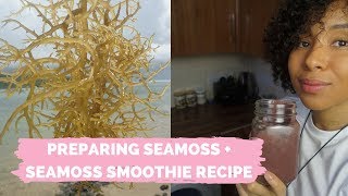 Talking all things seamoss in this video! i share with you a little
footage from my trip to farm last year whilst st lucia. next show how
...