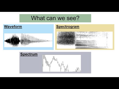 Speech Acoustics 3 - what we can see?