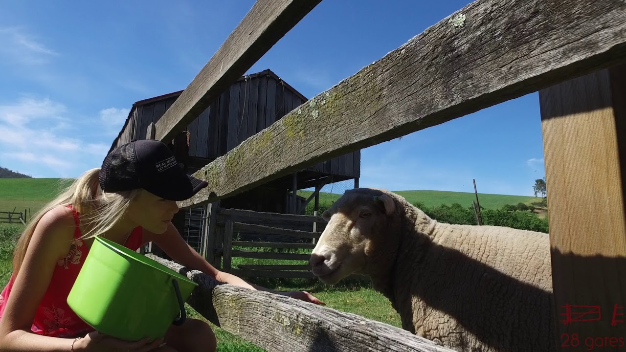 28 Gates Farmstay in Tasmania YouTube