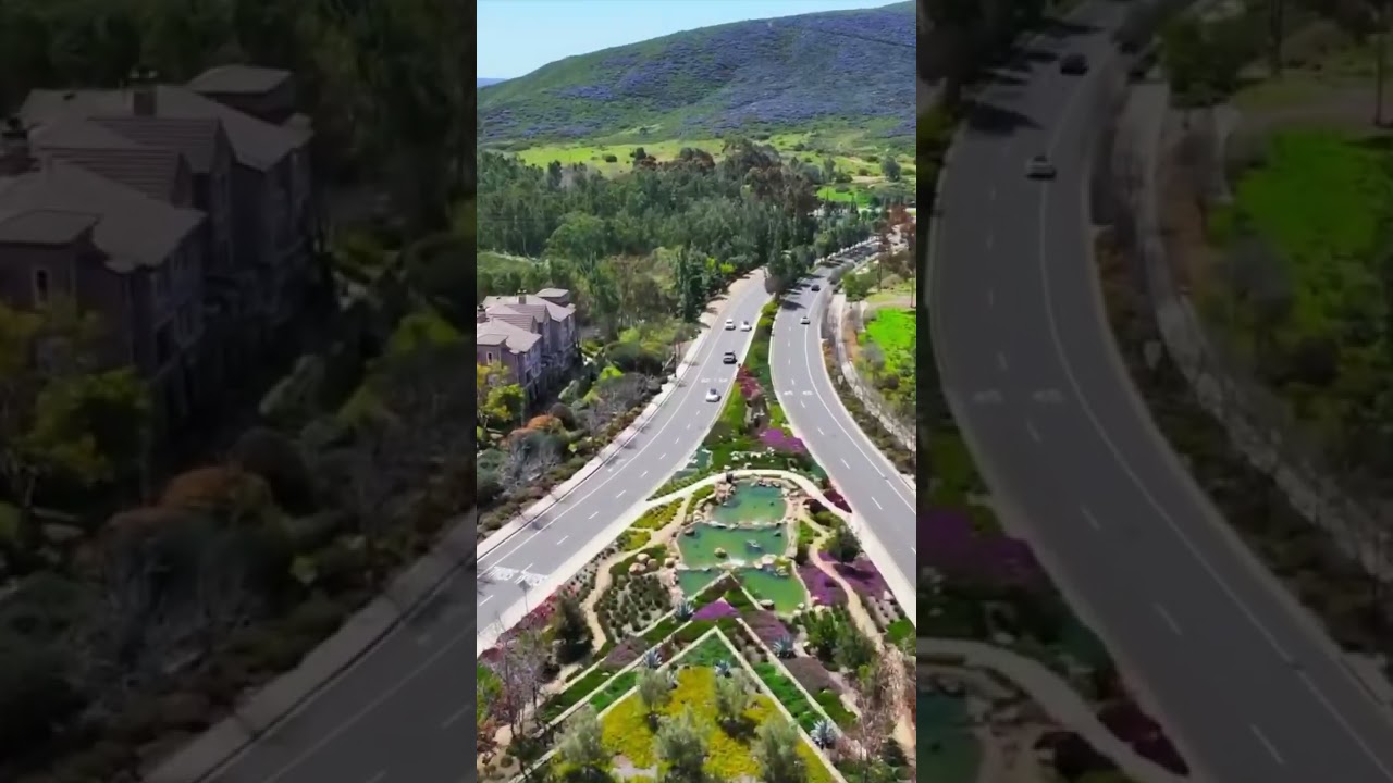 San Elijo Hills in technicolor. 🌳  